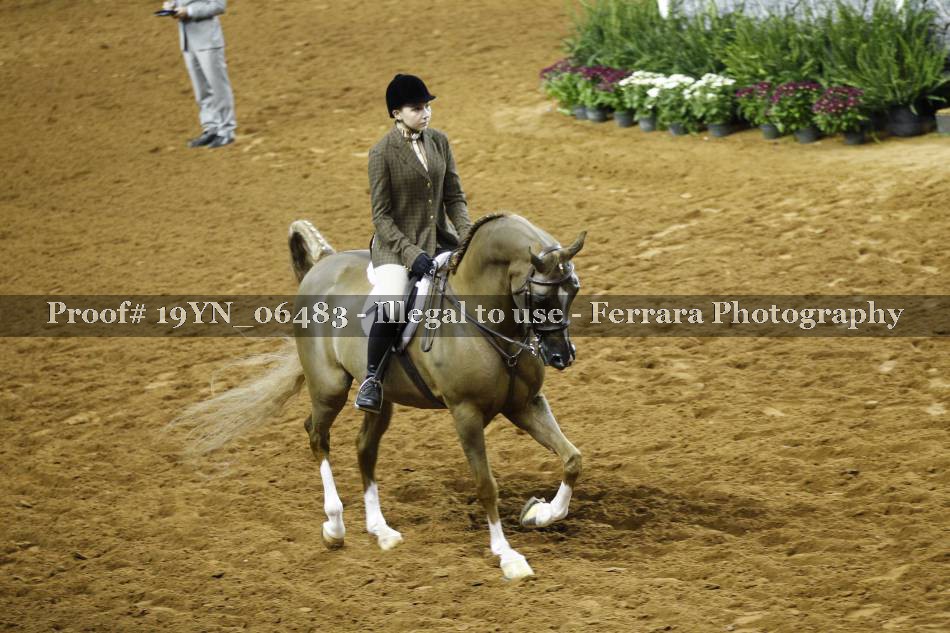 Proof 19YN_06483