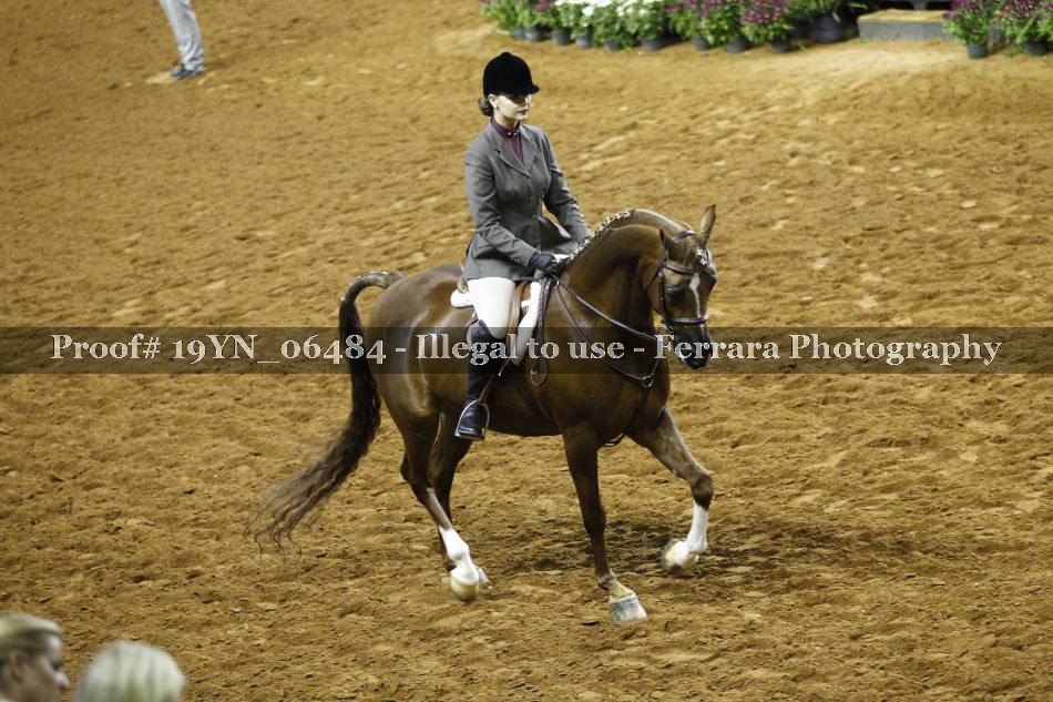 Proof 19YN_06484