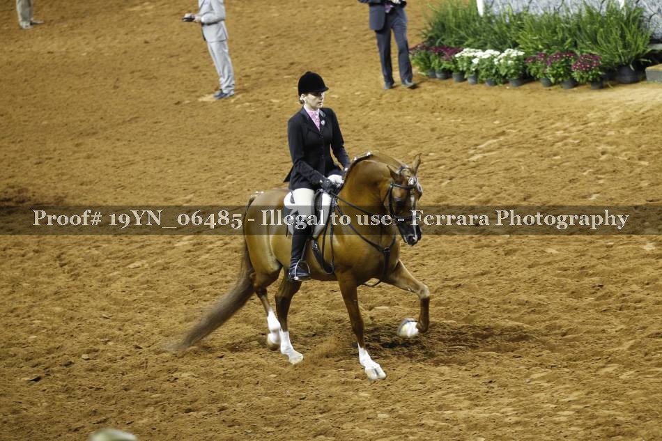 Proof 19YN_06485