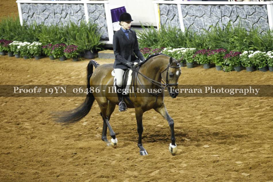 Proof 19YN_06486