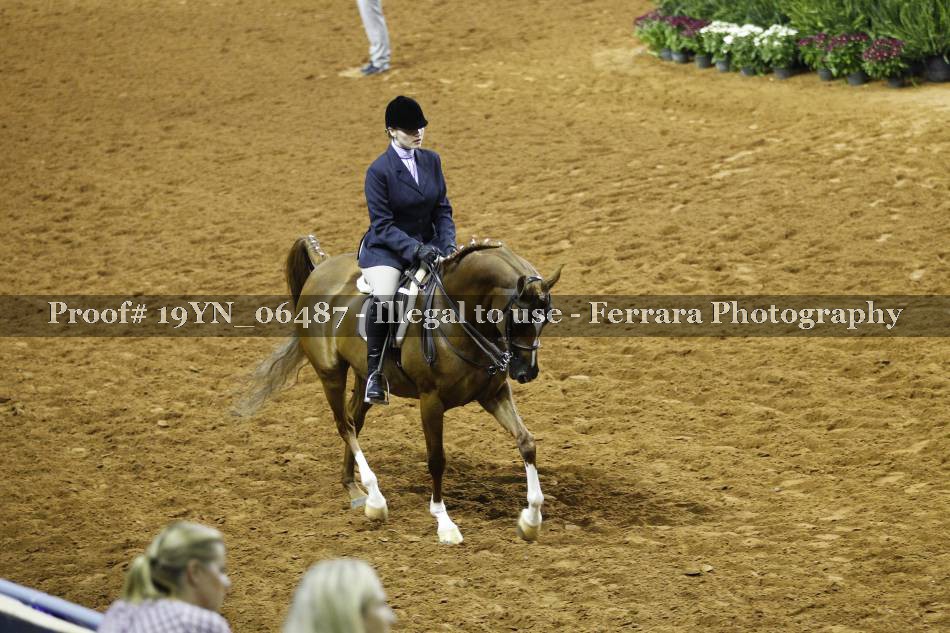 Proof 19YN_06487