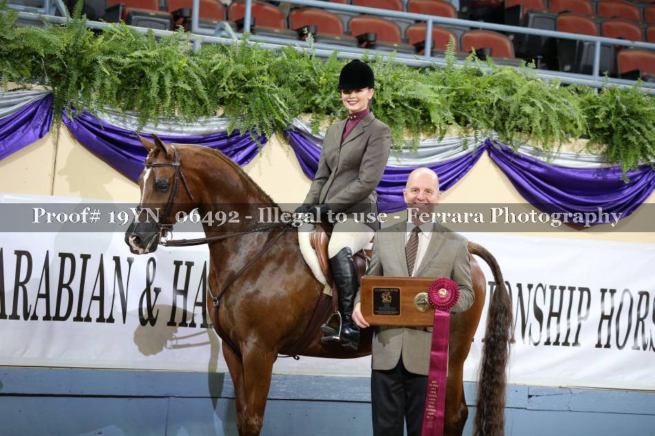 Proof 19YN_06492