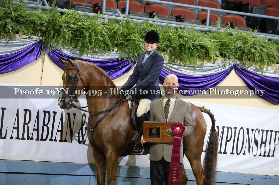 Proof 19YN_06495