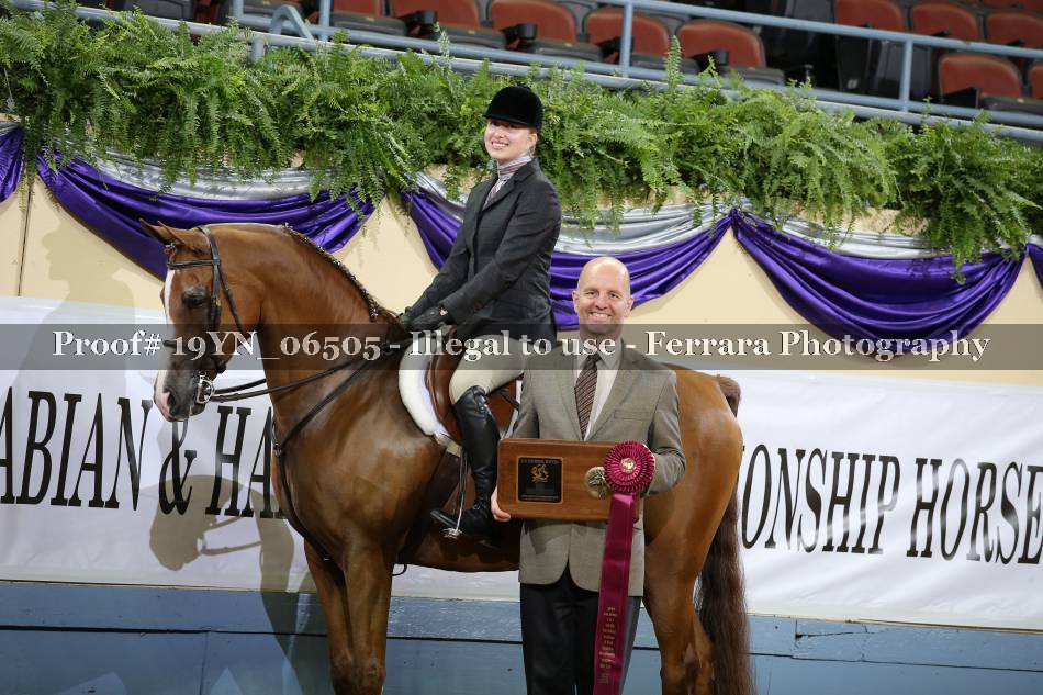 Proof 19YN_06505