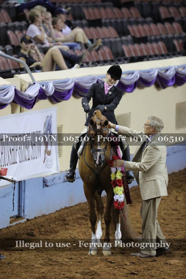 Proof 19YN_06510