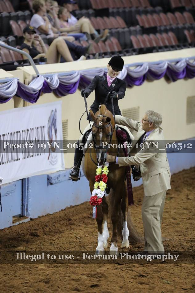 Proof 19YN_06512