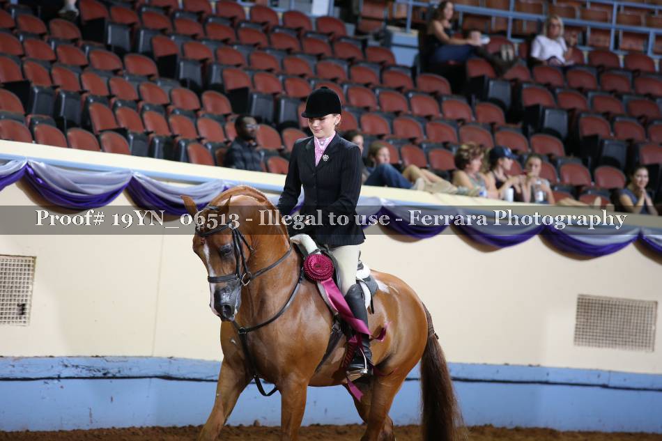 Proof 19YN_06513
