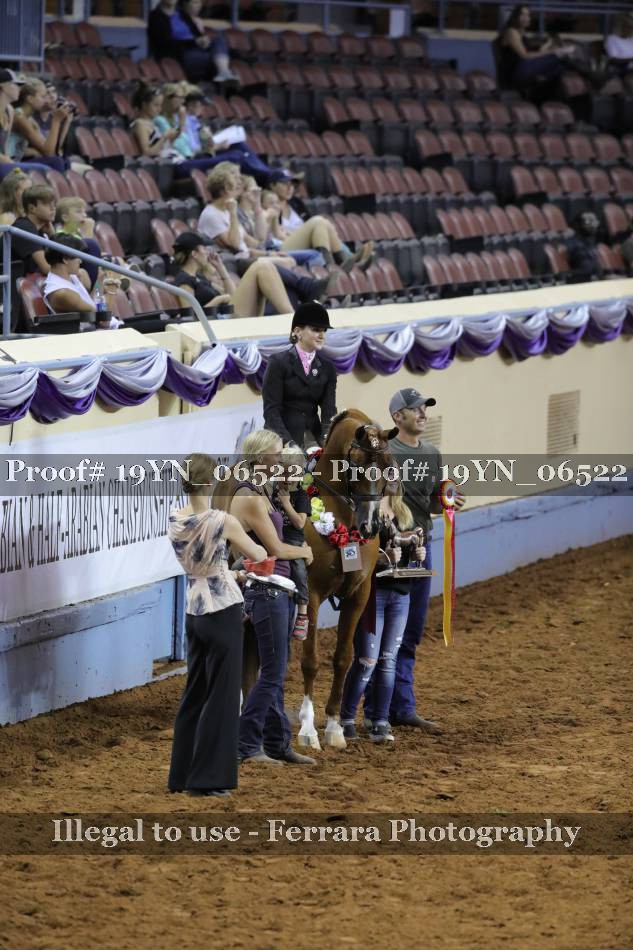 Proof 19YN_06522