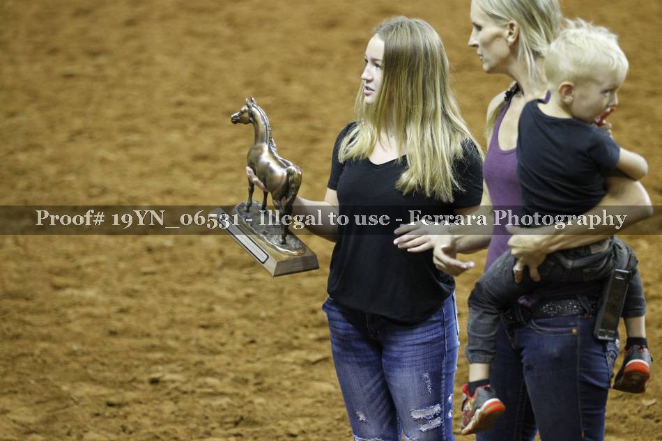 Proof 19YN_06531