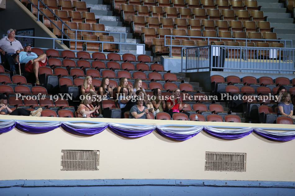 Proof 19YN_06532