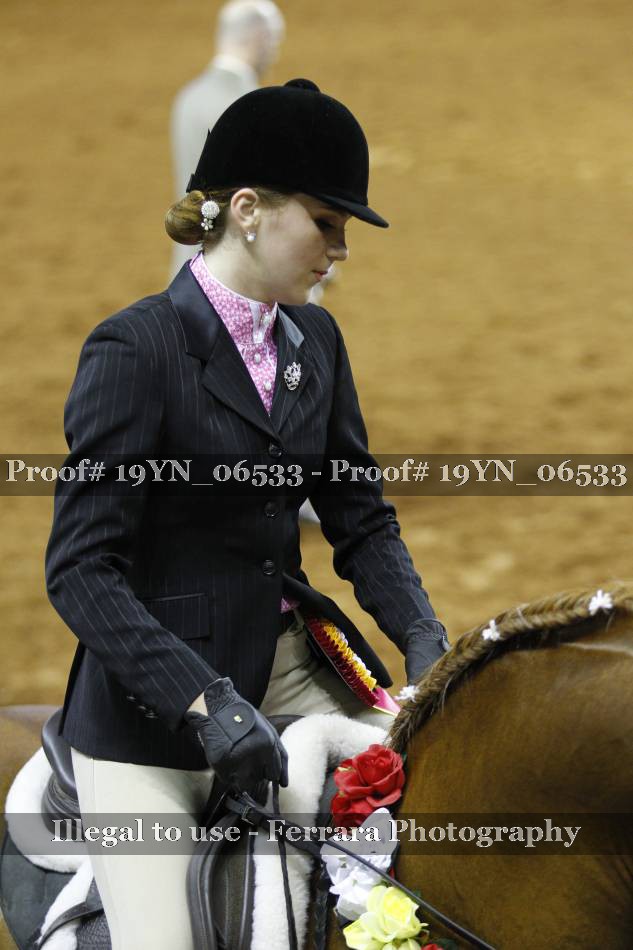 Proof 19YN_06533