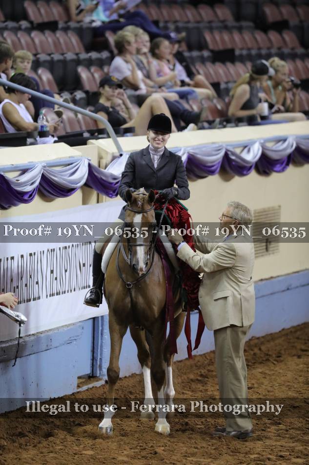 Proof 19YN_06535
