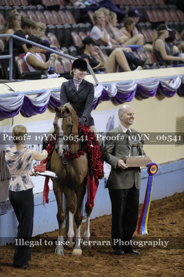 Proof 19YN_06541