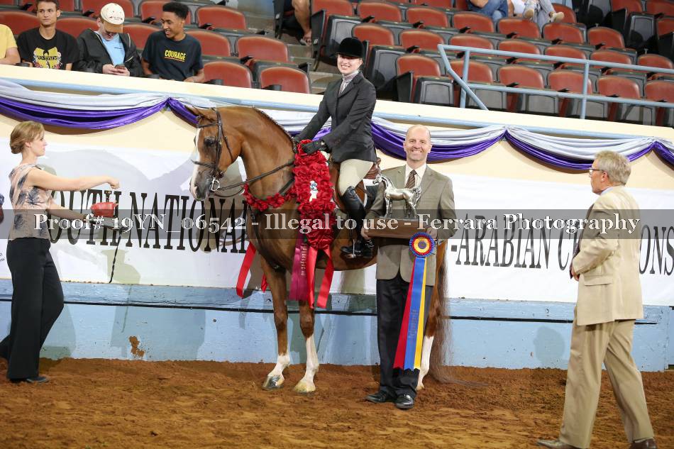 Proof 19YN_06542