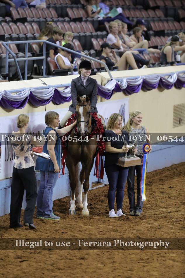 Proof 19YN_06544