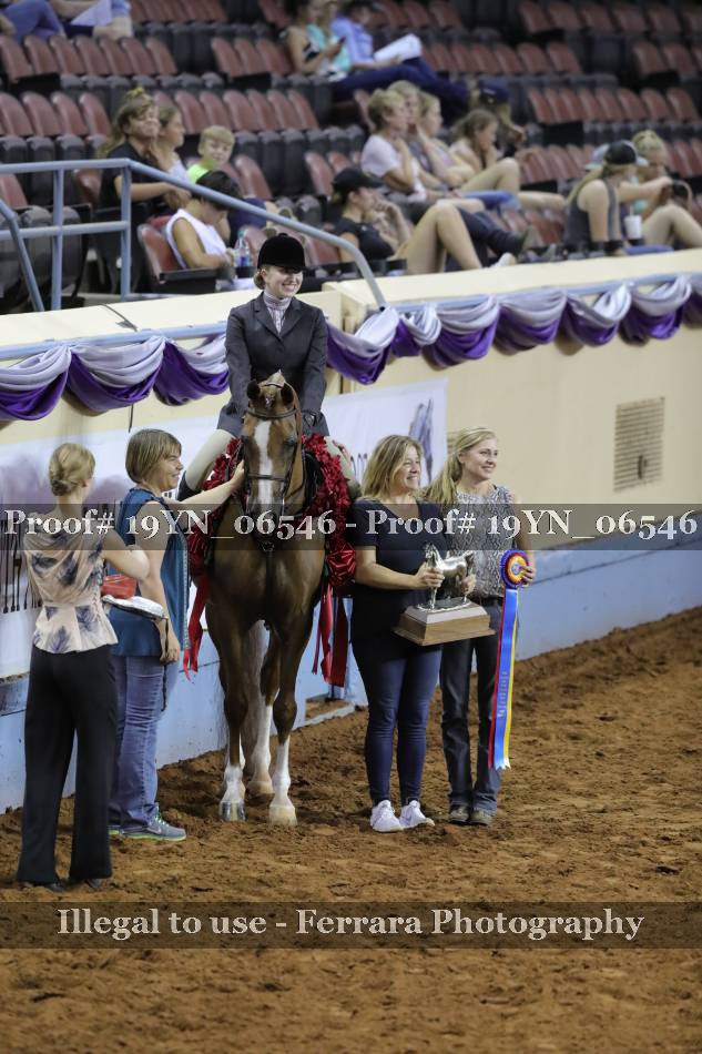 Proof 19YN_06546
