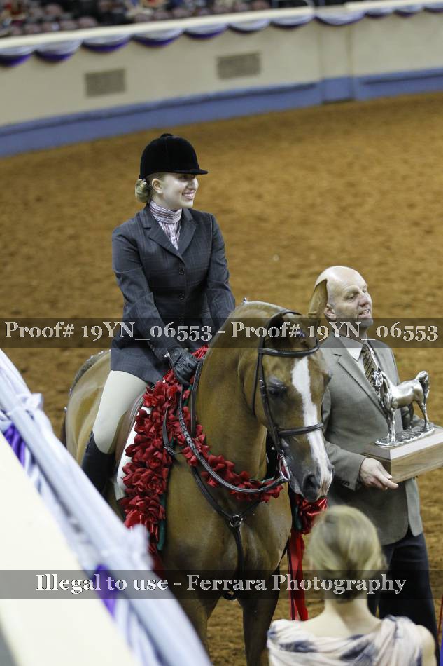 Proof 19YN_06553