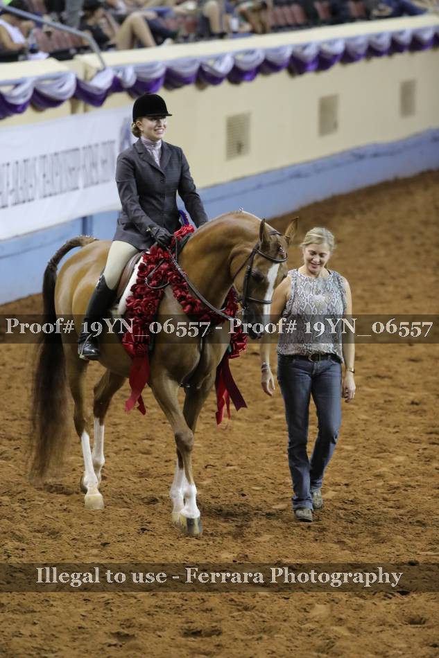 Proof 19YN_06557
