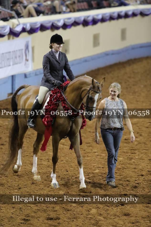 Proof 19YN_06558