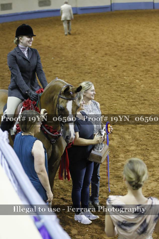 Proof 19YN_06560