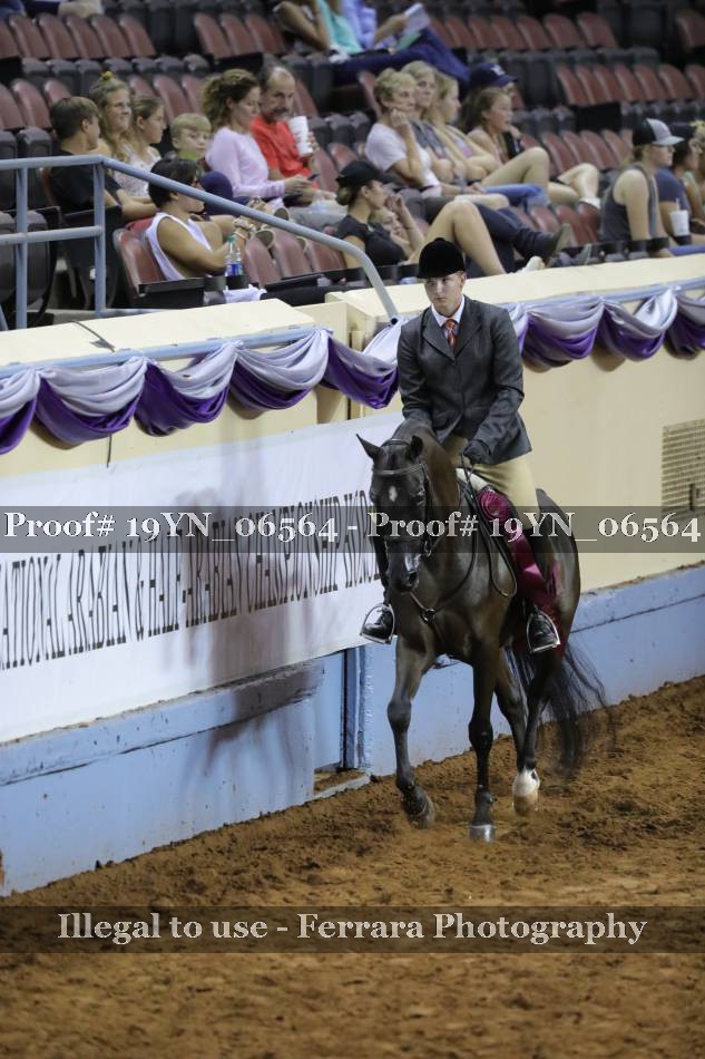 Proof 19YN_06564