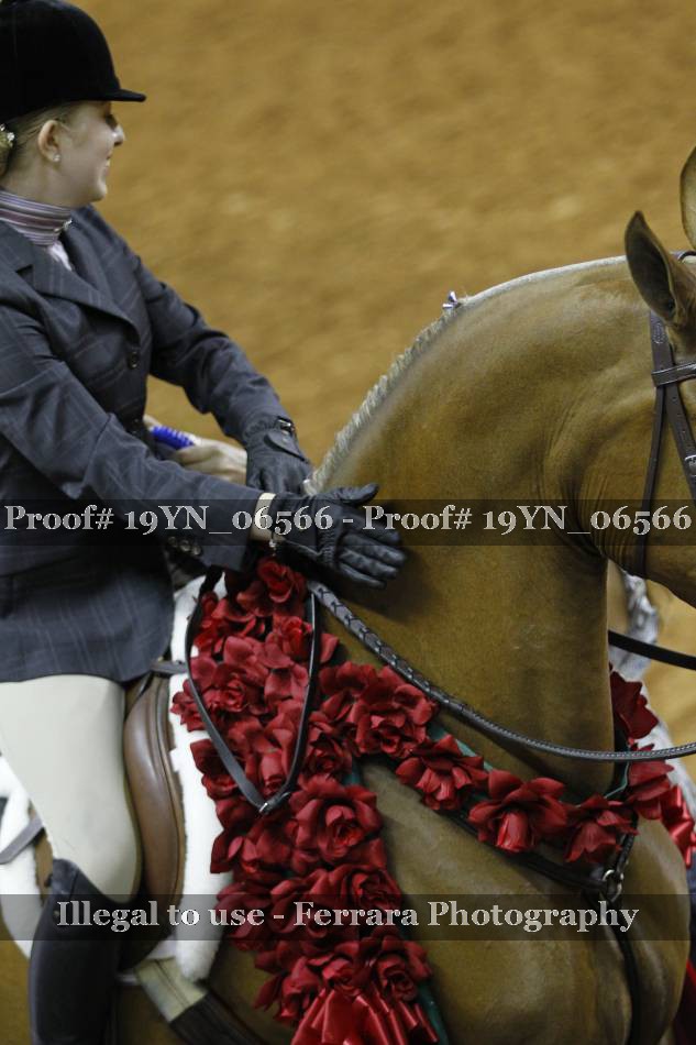 Proof 19YN_06566