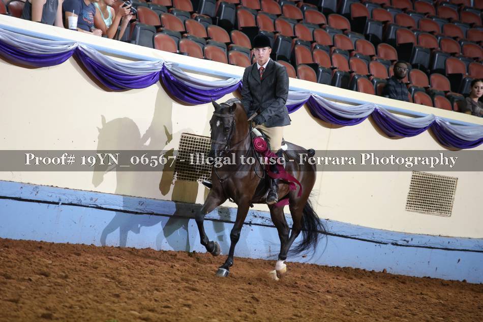 Proof 19YN_06567