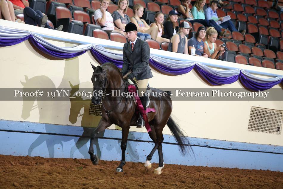 Proof 19YN_06568