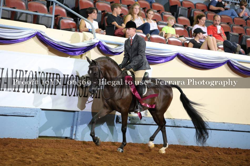 Proof 19YN_06569