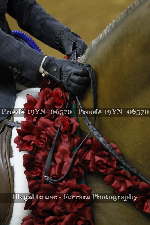 Proof 19YN_06570
