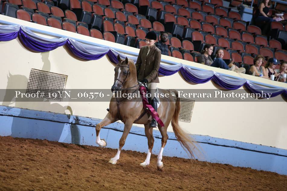 Proof 19YN_06576