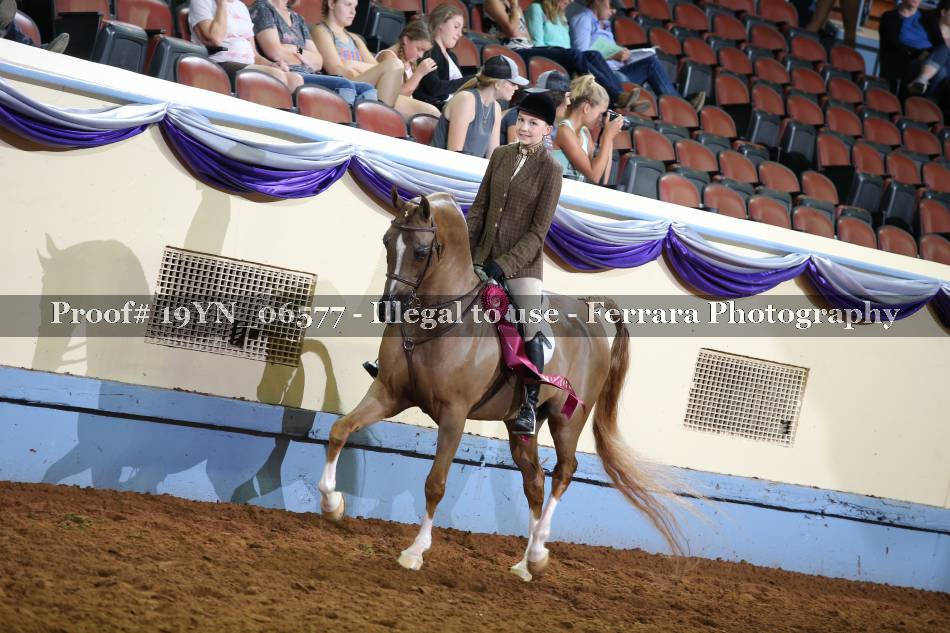 Proof 19YN_06577