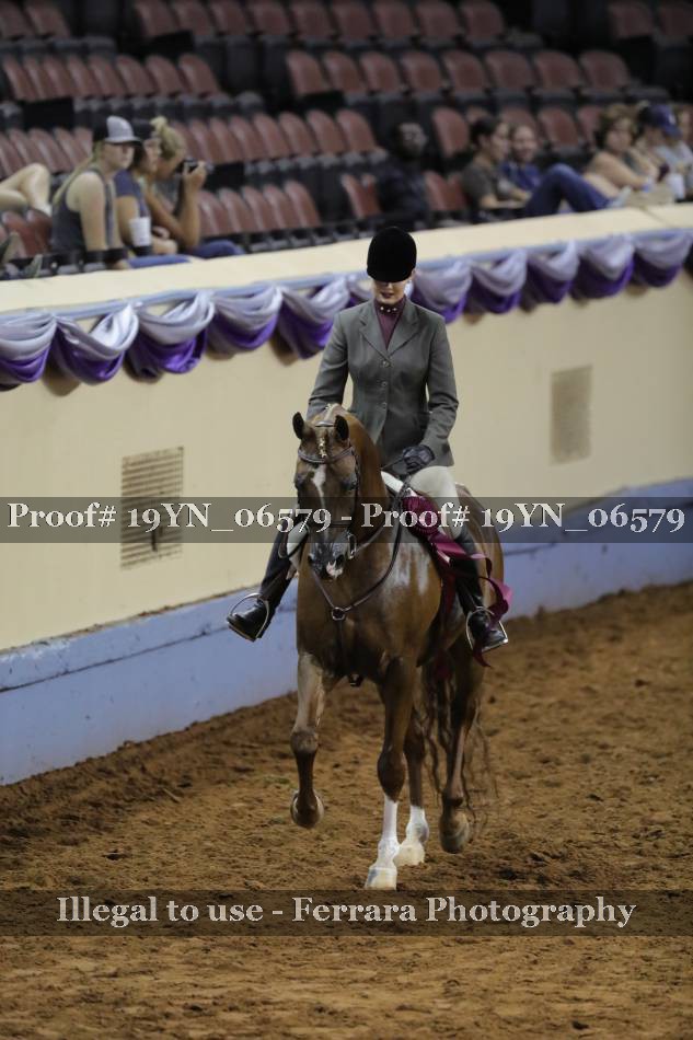 Proof 19YN_06579