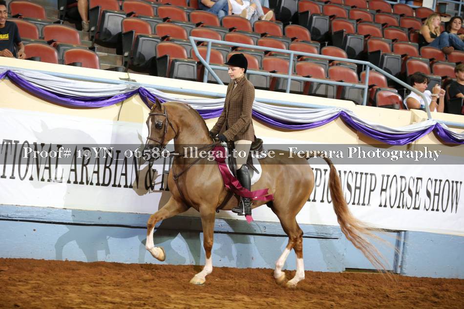 Proof 19YN_06580