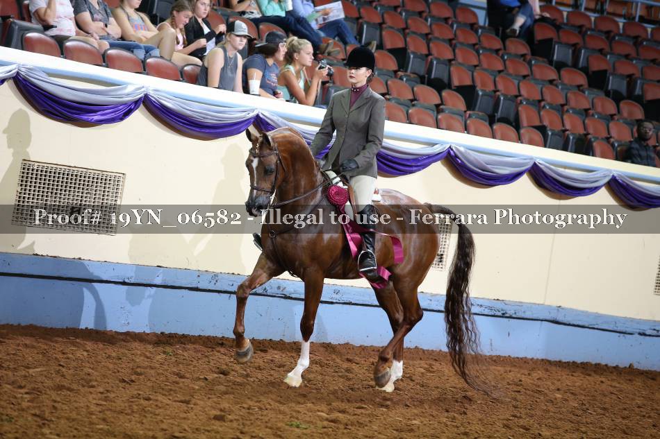 Proof 19YN_06582