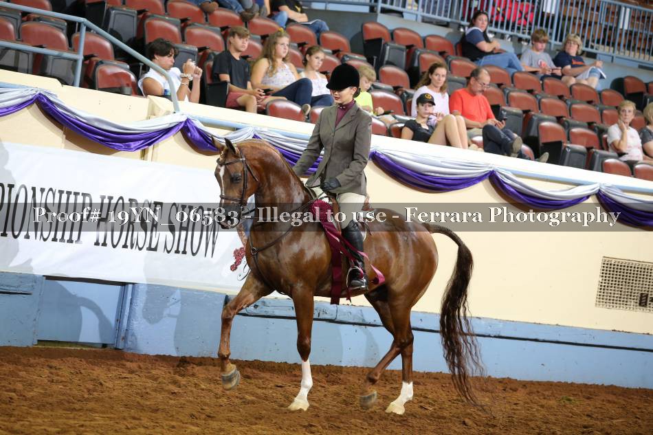 Proof 19YN_06583