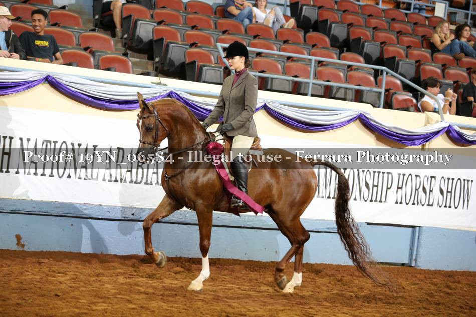 Proof 19YN_06584
