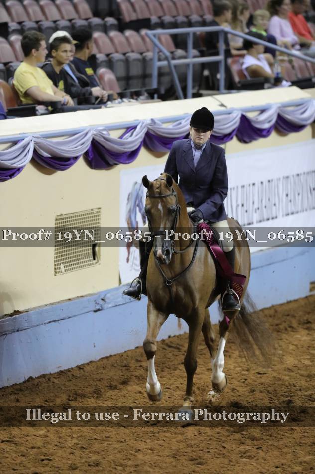 Proof 19YN_06585