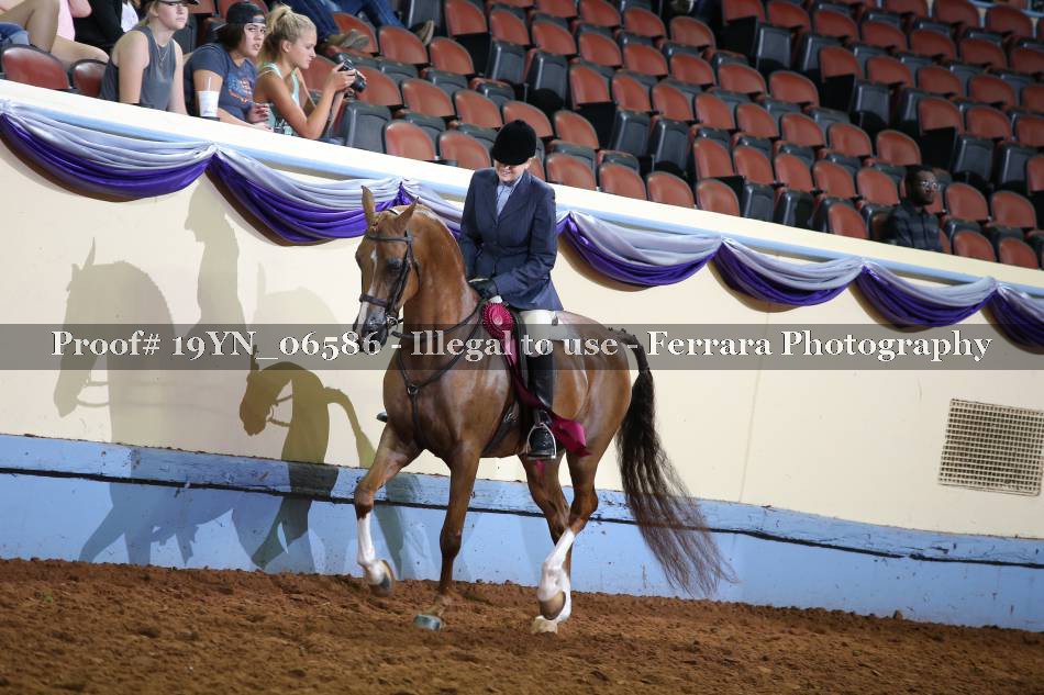 Proof 19YN_06586