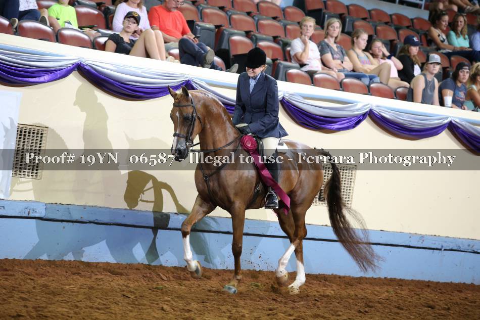 Proof 19YN_06587