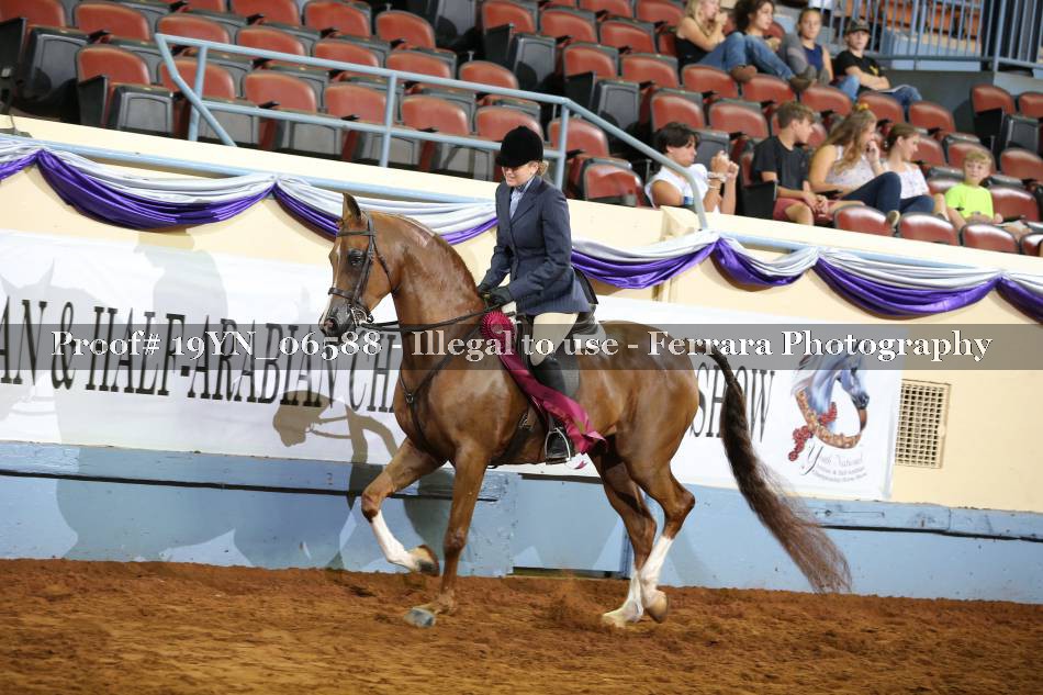 Proof 19YN_06588
