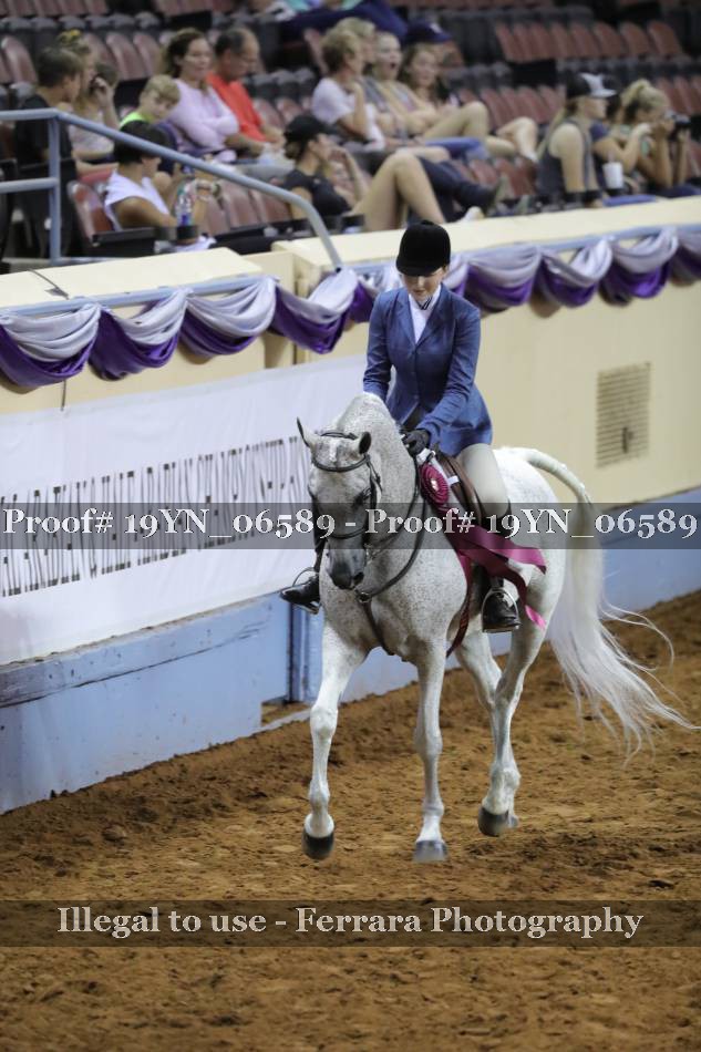 Proof 19YN_06589