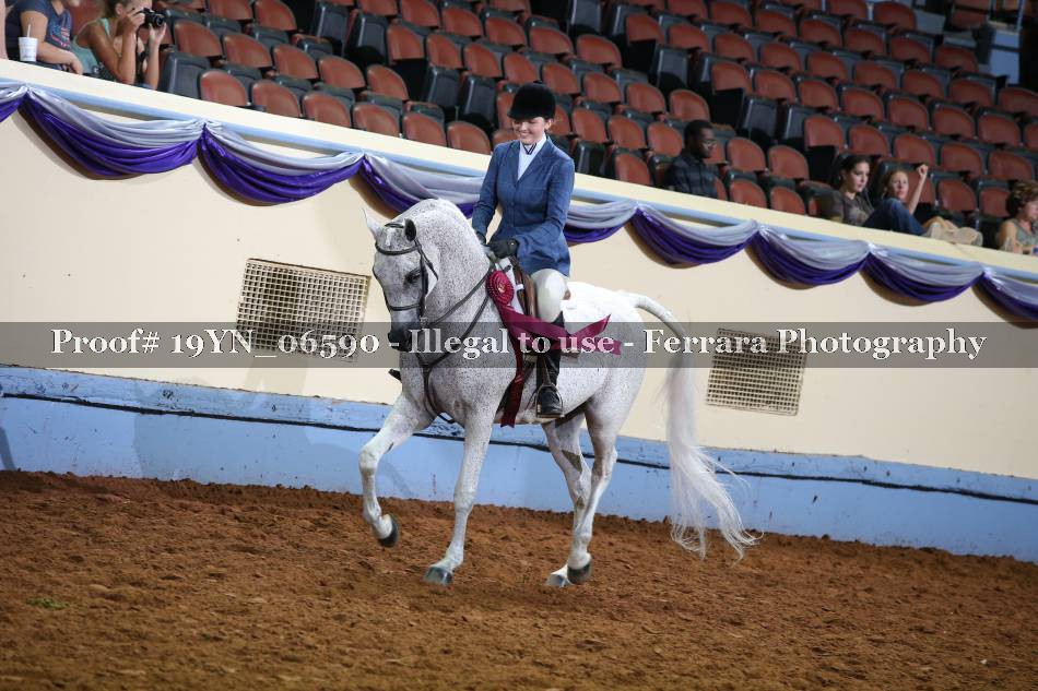 Proof 19YN_06590