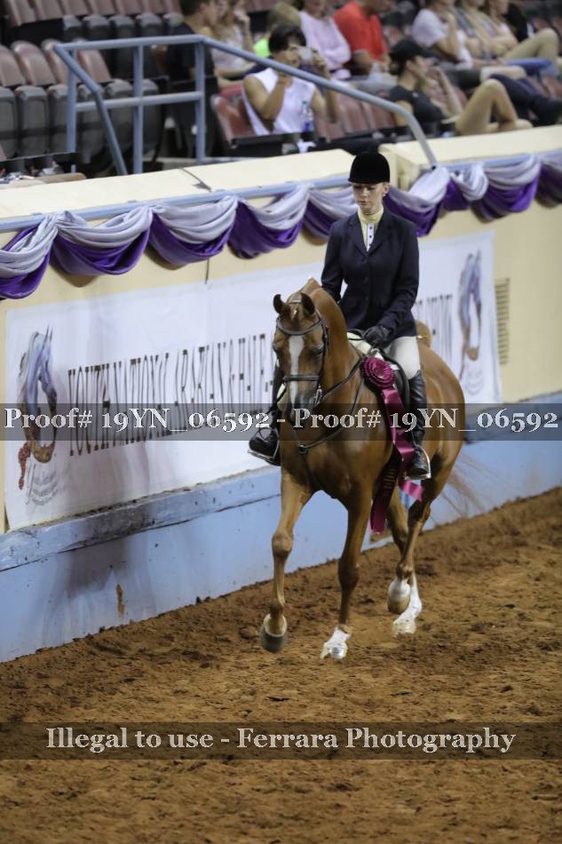 Proof 19YN_06592