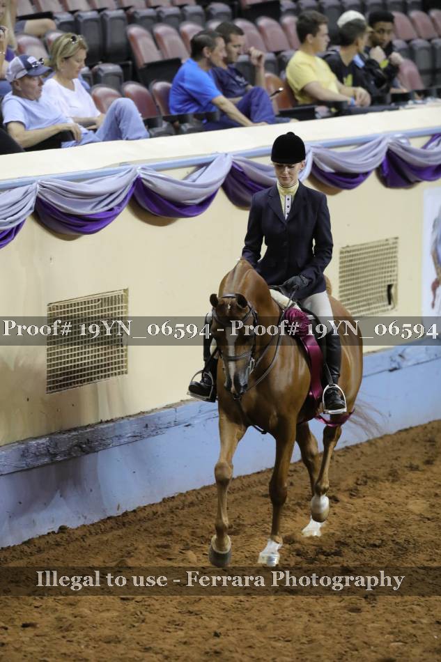 Proof 19YN_06594