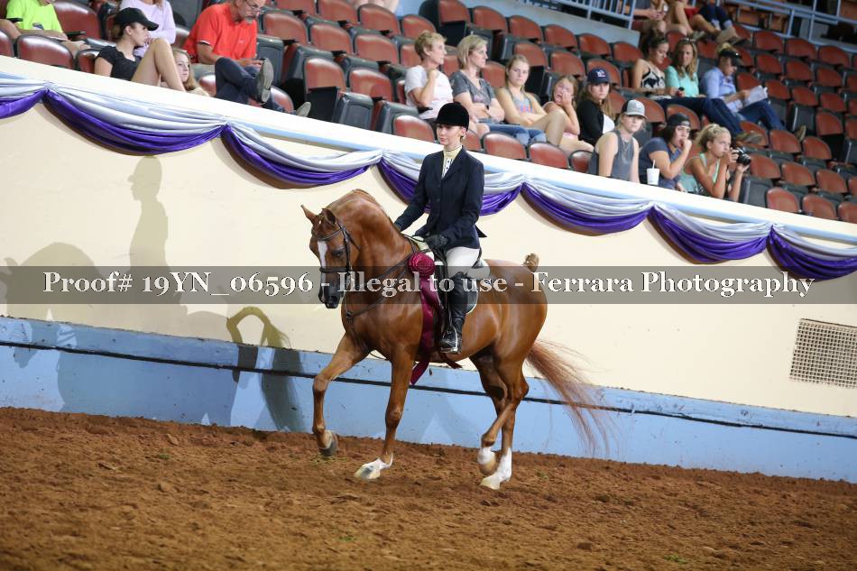 Proof 19YN_06596