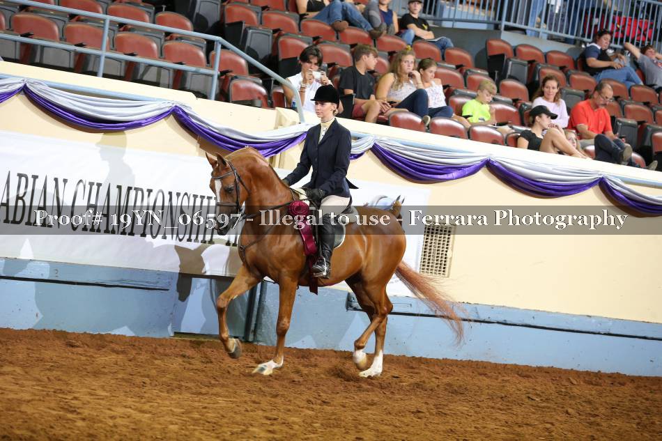 Proof 19YN_06597