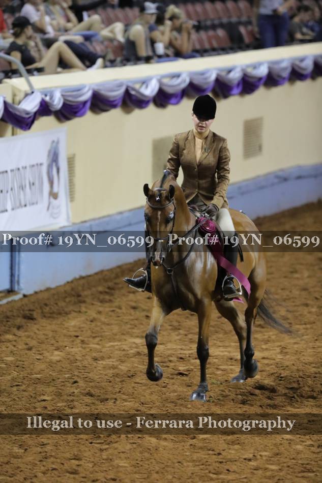 Proof 19YN_06599