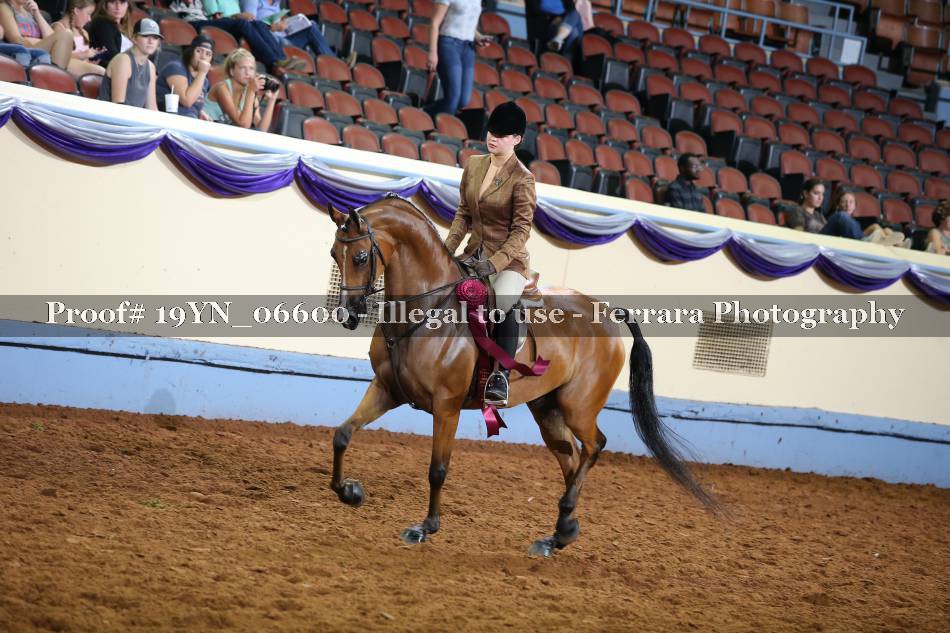 Proof 19YN_06600
