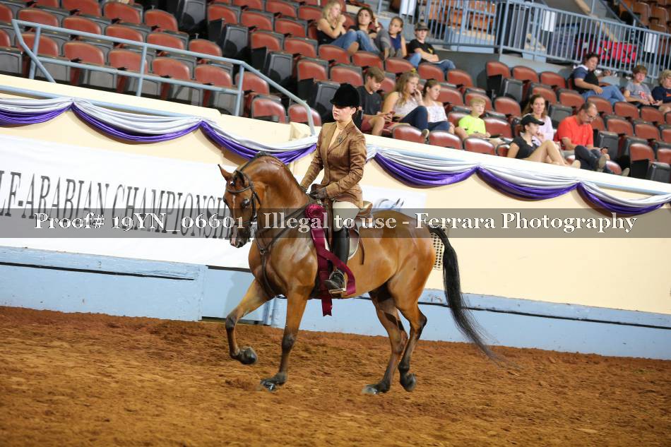 Proof 19YN_06601